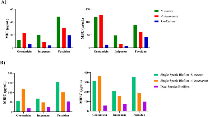 The antimicrobial and antibiofilm effects of gentamicin, imipenem, and fucoidan combinations against dual-species biofilms of Staphylococcus aureus and Acinetobacter baumannii isolated from diabetic foot ulcers.