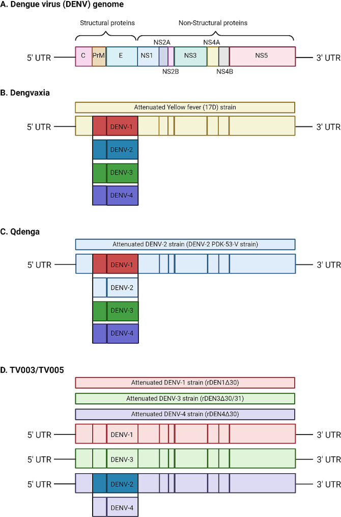 The role of antibody-dependent enhancement in dengue vaccination.