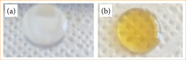 Calendula glycolic extract enhances wound healing of alginate hydrogel.