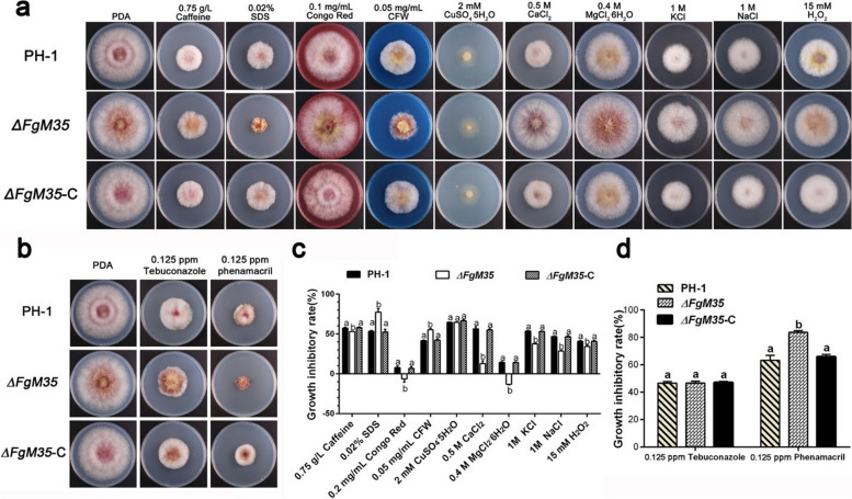 Correction: Zinc metalloprotease FgM35, which targets the wheat zinc-binding protein TaZnBP, contributes to the virulence of Fusarium graminearum.