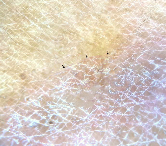 Abstract Image