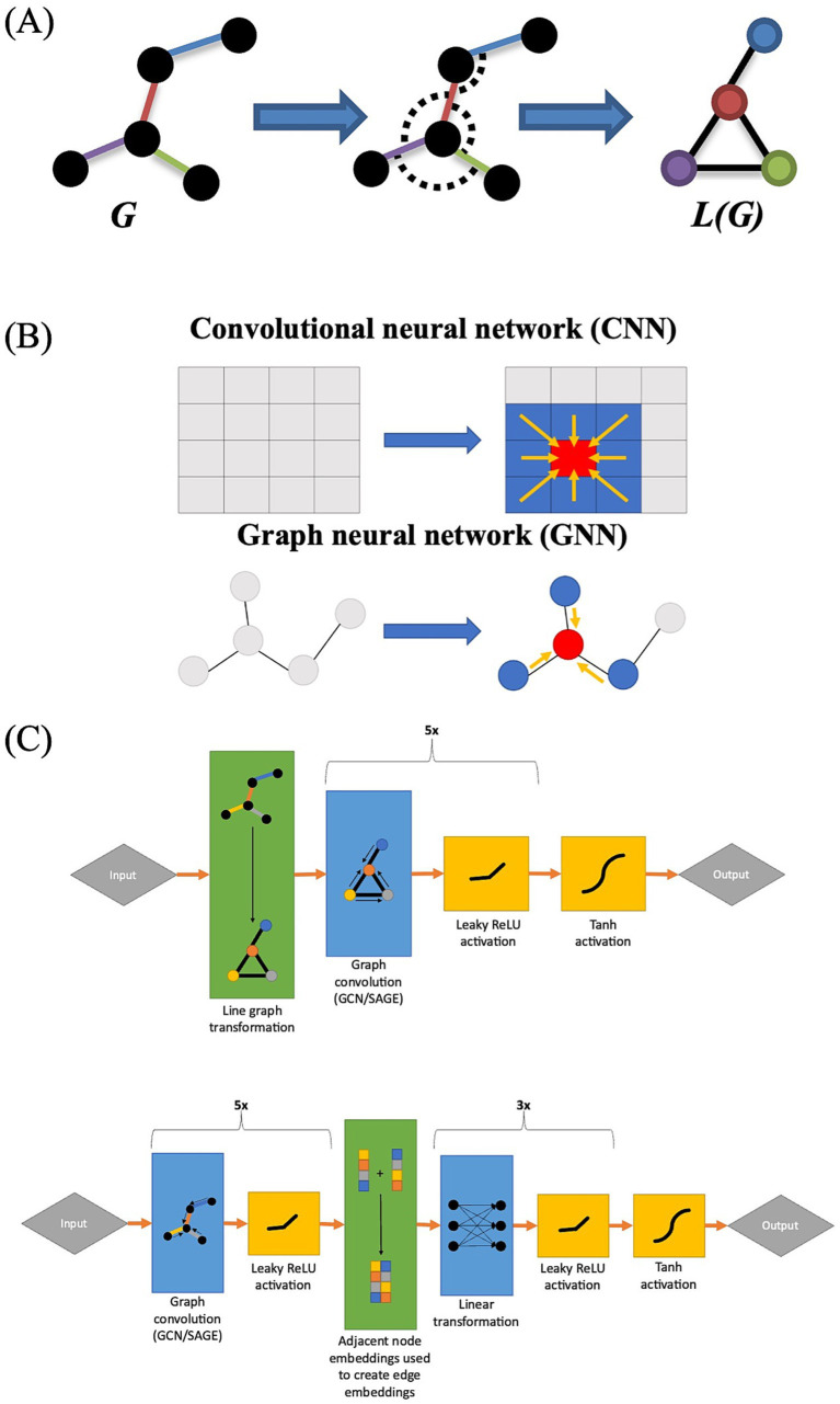 Modeling functional connectivity changes during an auditory language task using line graph neural networks.
