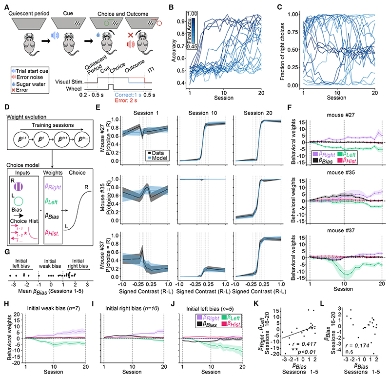 Pre-existing visual responses in a projection-defined dopamine population explain individual learning trajectories.