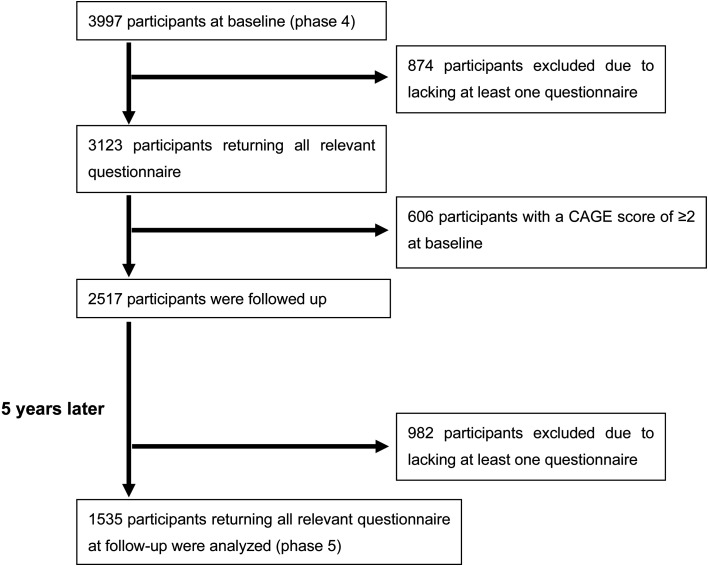 A longitudinal study of the influence of work characteristics, work-family status, and social activities on problem drinking: the Japanese civil servants study.
