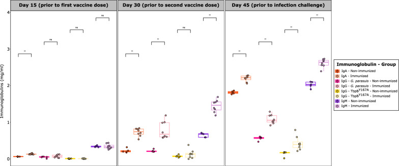 TbpB-based oral mucosal vaccine provides heterologous protection against Glässer's disease caused by different serovars of Spanish field isolates of Glaesserella parasuis.