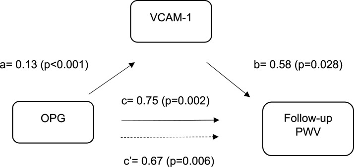 The association between osteoprotegerin and arterial stiffness in a 10-year longitudinal study of patients with type 2 diabetes.