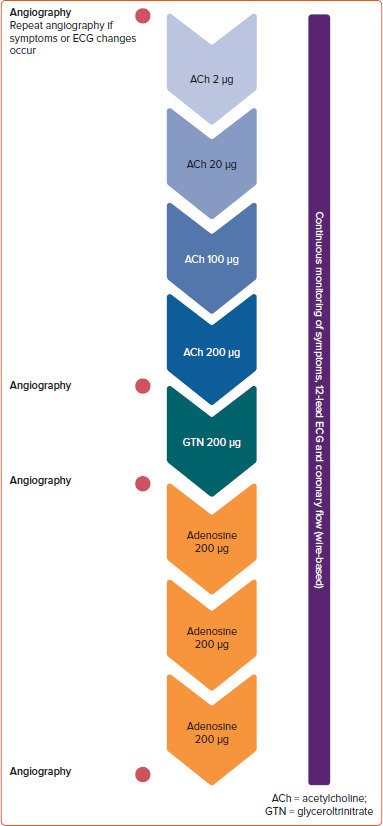 Diagnostic Yield of Comprehensive Coronary Function Testing in Patients with Angina and Unobstructed Coronary Arteries: Endotype Characterisation and Clinical Implications.