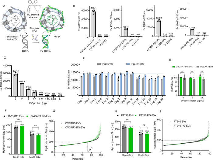 Tracking Small Extracellular Vesicles Using a Minimally Invasive PicoGreen Labeling Strategy.