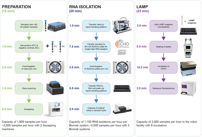 Development of a large-scale rapid LAMP diagnostic testing platform for pandemic preparedness and outbreak response.