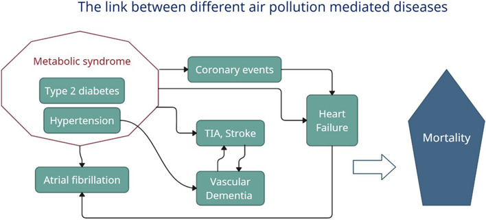 The last decade of air pollution epidemiology and the challenges of quantitative risk assessment.