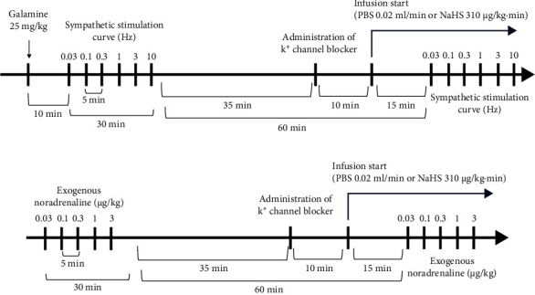 Effect of Hydrogen Sulfide on Sympathoinhibition in Obese Pithed Rats and Participation of K<sup>+</sup> Channel.