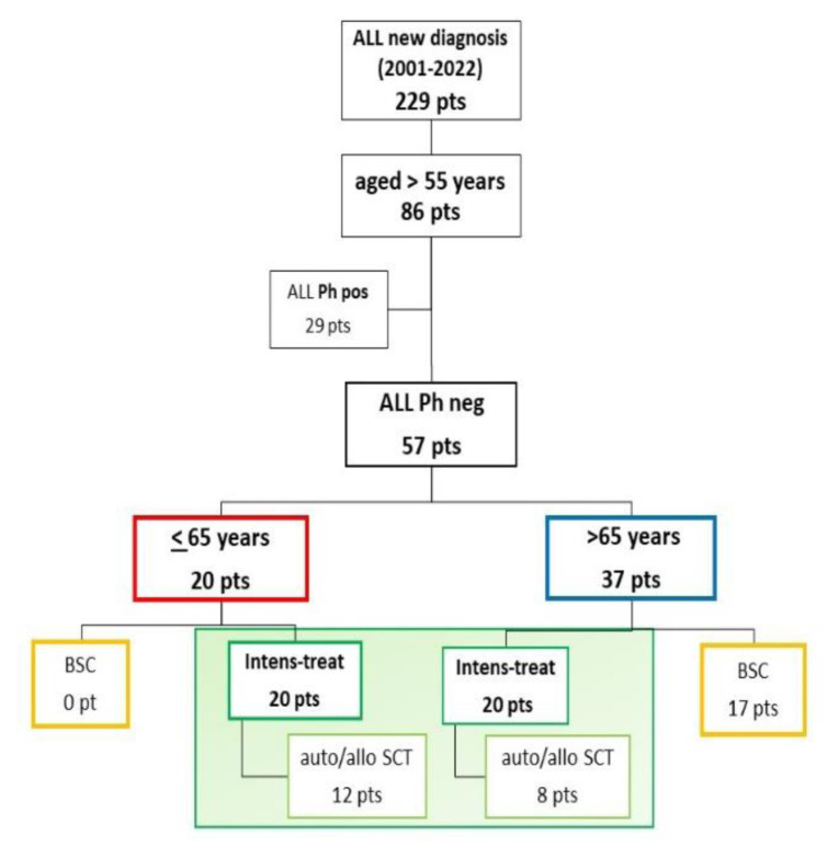 Older Adults with Ph Negative Acute Lymphoblastic Leukemia: A Monocentric Experience on 57 Patients Focusing on Treatment Intensity and Age-Related Prognosis.