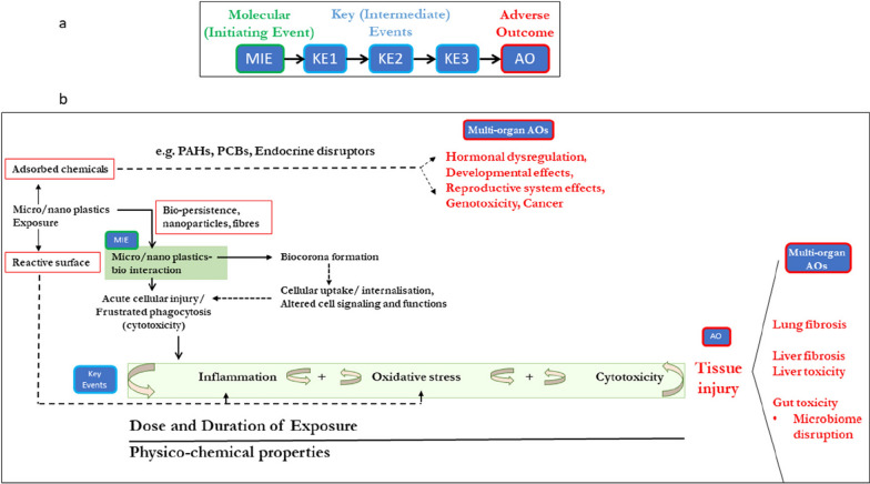 Towards a risk assessment framework for micro- and nanoplastic particles for human health.