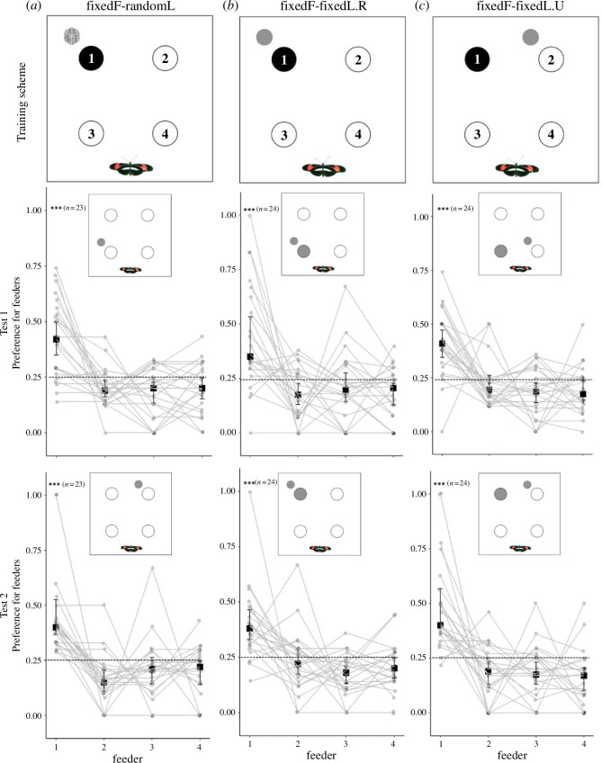 <i>Heliconius</i> butterflies use wide-field landscape features, but not individual local landmarks, during spatial learning.