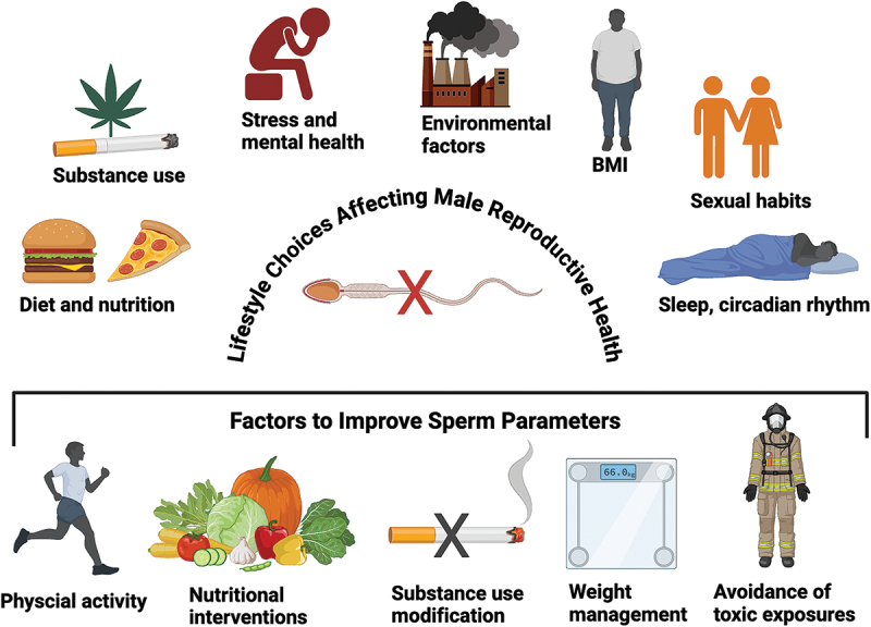 Can lifestyle changes significantly improve male fertility: A narrative review?