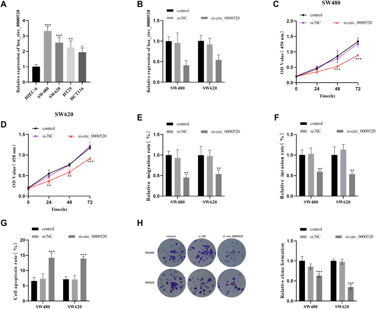 hsa_circ_0000520 Serves as a Prognostic Biomarker for Colorectal Cancer and Promotes in the Disease Progression.