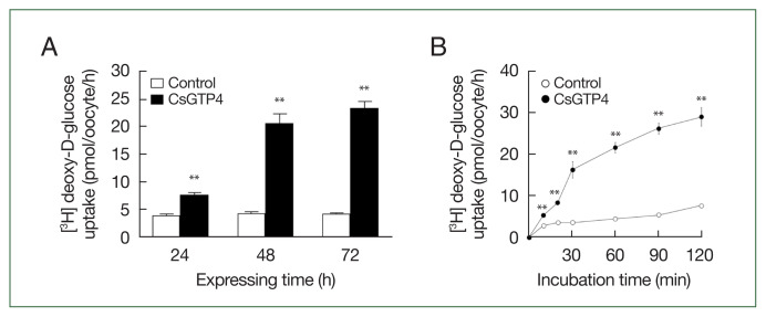 Functional characterization of glucose transporter 4 involved in glucose uptake in Clonorchis sinensis.