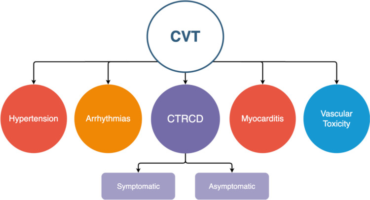 Targeting the Renin-angiotensin-aldosterone System (RAAS) for Cardiovascular Protection and Enhanced Oncological Outcomes: Review.