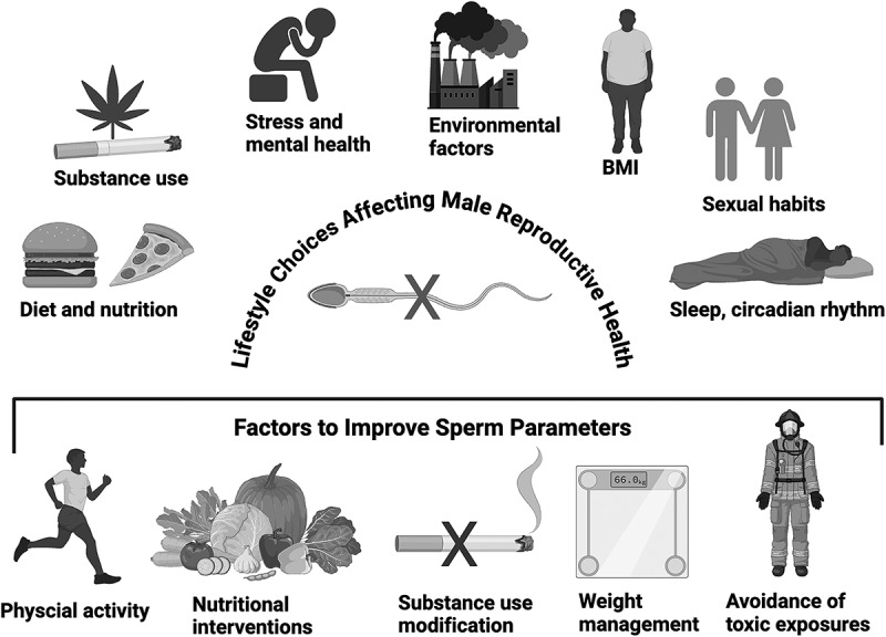 Can lifestyle changes significantly improve male fertility: A narrative review?