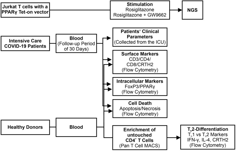 Identification of CRTH2 as a New PPARγ-Target Gene in T Cells Suggested CRTH2 Dependent Conversion of T<sub>h</sub>2 Cells as Therapeutic Concept in COVID-19 Infection.