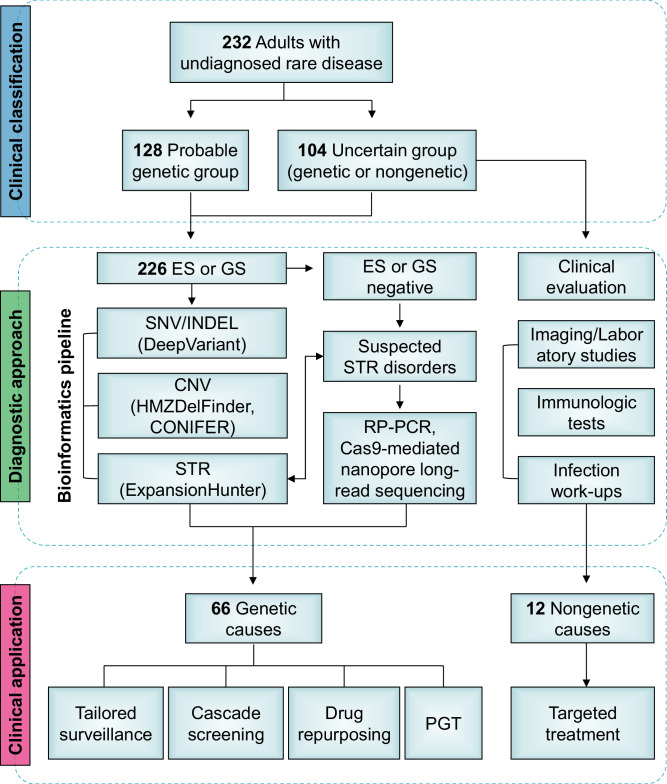 Implementing genomic medicine in clinical practice for adults with undiagnosed rare diseases.