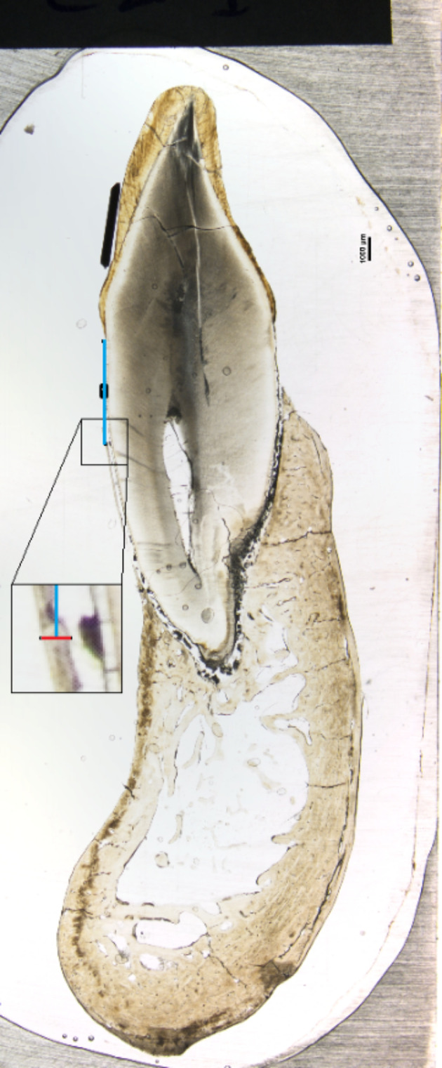 Abstract Image