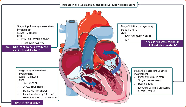 Staging Heart Failure with Preserved Ejection Fraction by Assessing Cardiac Chamber Involvement.