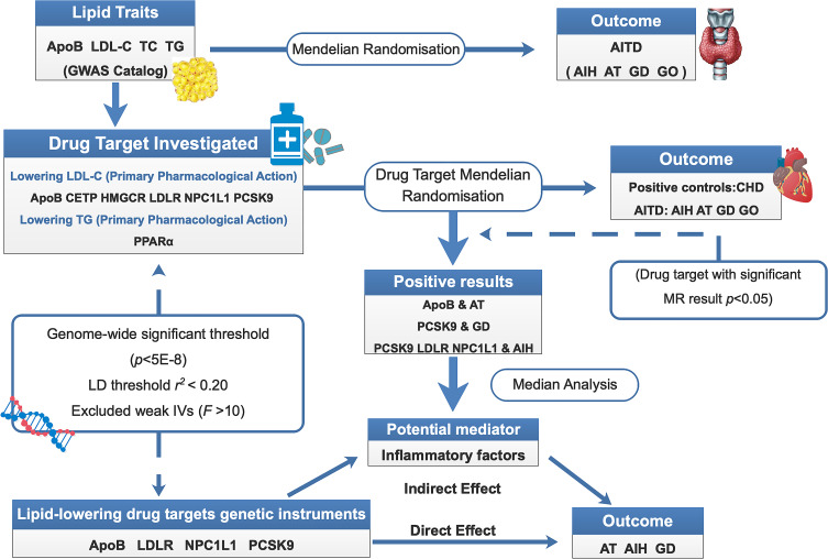 Novel Insights into Causal Effects of Lipid and Lipid-Lowering Targets with Autoimmune Thyroid Disease: A Mendelian Randomization Study.