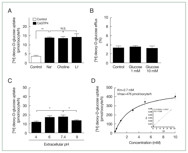 Functional characterization of glucose transporter 4 involved in glucose uptake in Clonorchis sinensis.