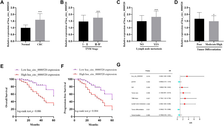 hsa_circ_0000520 Serves as a Prognostic Biomarker for Colorectal Cancer and Promotes in the Disease Progression.