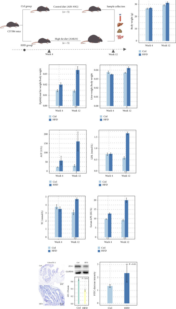 Mucosal Hub Bacteria as Potential Targets for Improving High-Fat Diet-Related Intestinal Barrier Injury.