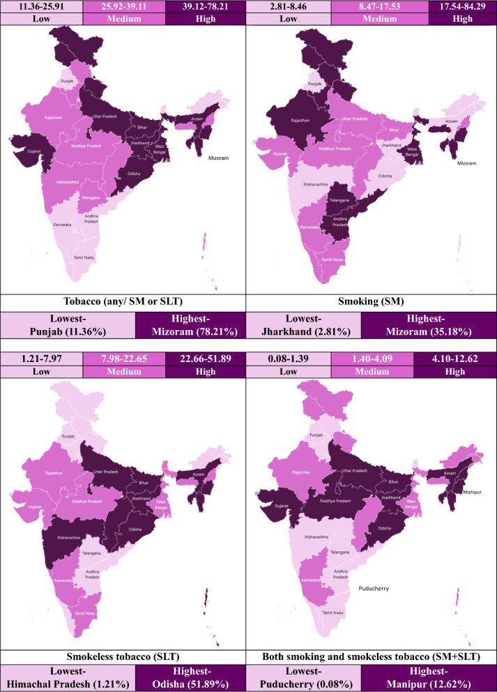 Nested multilevel modelling study of smoking and smokeless tobacco consumption among middle aged and elderly Indian adults: distribution, determinants and socioeconomic disparities.