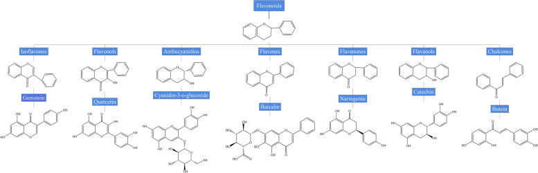 Natural plant polyphenols contribute to the ecological and healthy swine production.