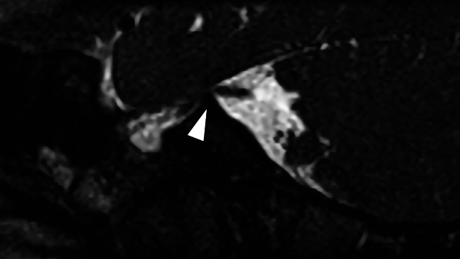 Abstract Image