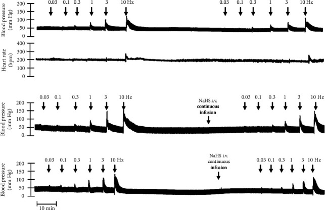 Effect of Hydrogen Sulfide on Sympathoinhibition in Obese Pithed Rats and Participation of K<sup>+</sup> Channel.