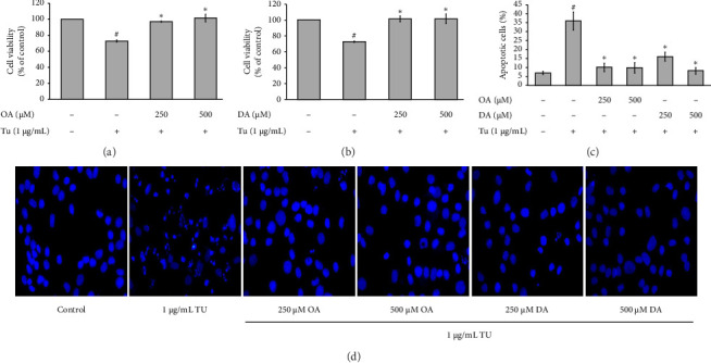 Octanoic Acid and Decanoic Acid Inhibit Tunicamycin-Induced ER Stress in Rat Aortic Smooth Muscle Cells.