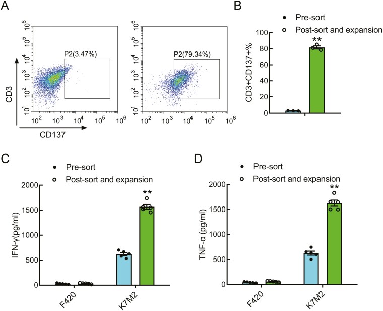 Delivery of IL-12 by neoantigen-reactive T cells promotes antitumor immunity in murine osteosarcoma mode.