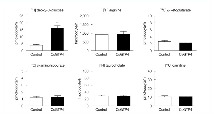 Functional characterization of glucose transporter 4 involved in glucose uptake in Clonorchis sinensis.