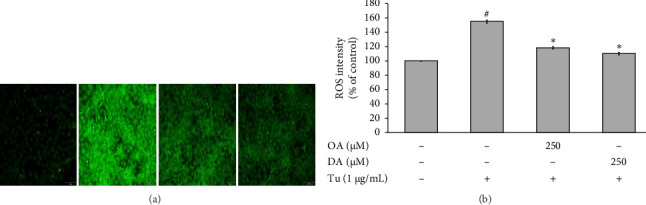 Octanoic Acid and Decanoic Acid Inhibit Tunicamycin-Induced ER Stress in Rat Aortic Smooth Muscle Cells.