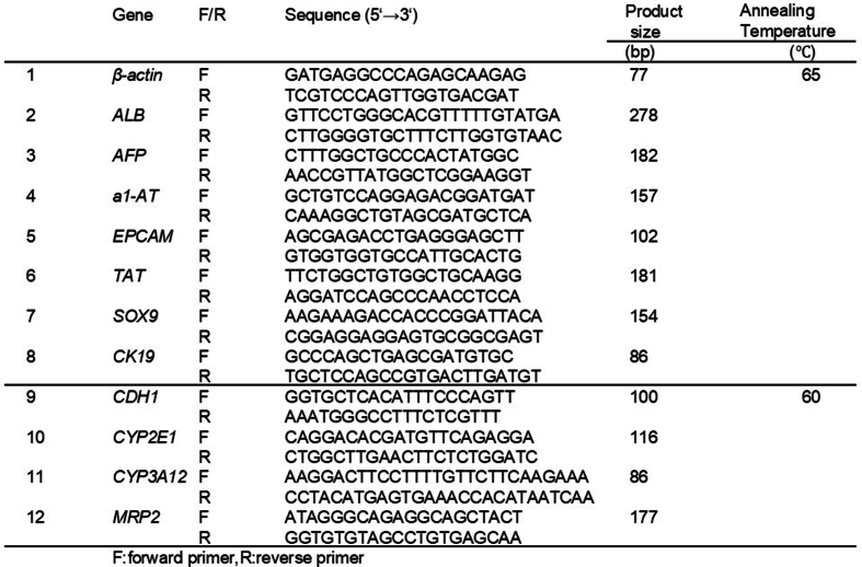 Reprogramming canine cryopreserved hepatocytes to hepatic progenitor cells using small molecule compounds.