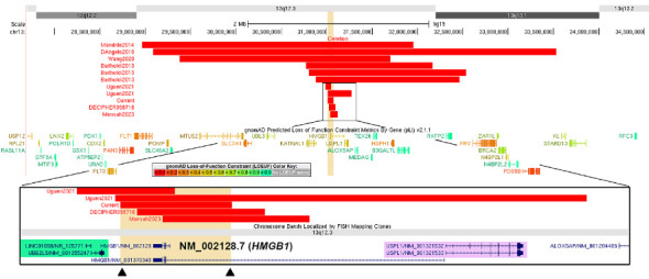 A Case Report on 13q12.3 Microdeletion Syndrome Caused by <i>HMGB1</i> Haploinsufficiency.
