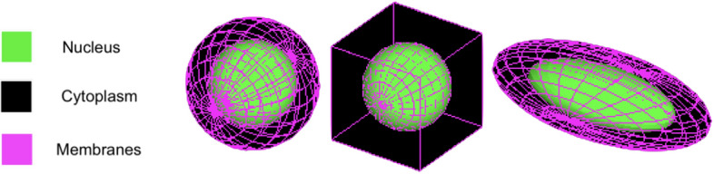 Abstract Image