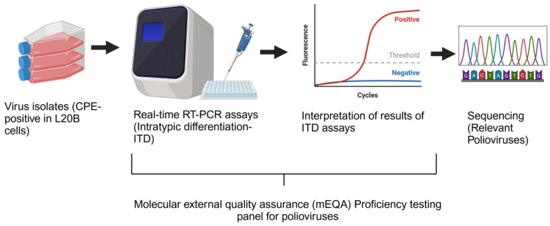 Evaluating the Effectiveness of External Molecular Proficiency Testing in the Global Polio Laboratory Network, 2021-2022.