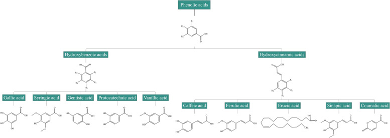 Natural plant polyphenols contribute to the ecological and healthy swine production.