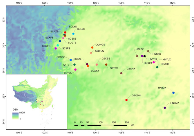 Assessing population genetic structure and diversity and their driving factors in Phoebe zhennan populations.