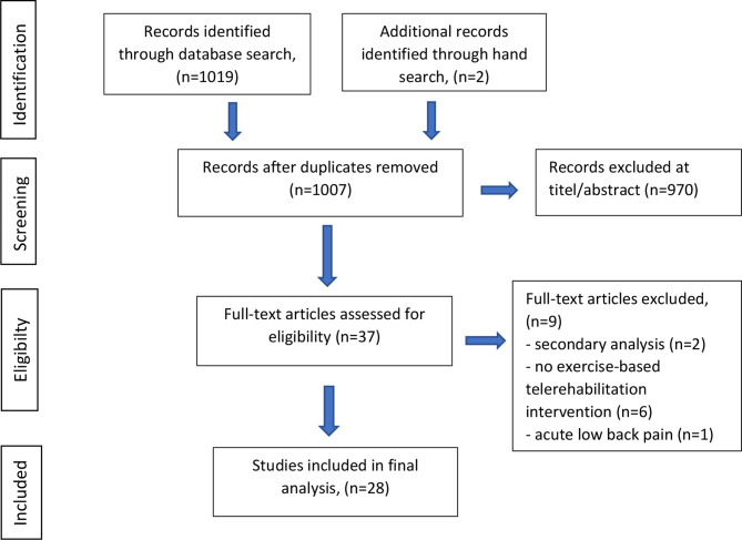Exercise-based telerehabilitation in chronic low back pain - a scoping review.