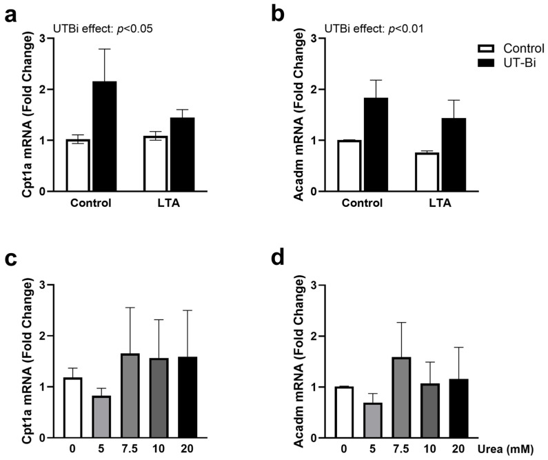 Modulation of Urea Transport Attenuates TLR2-Mediated Microglial Activation and Upregulates Microglial Metabolism In Vitro.