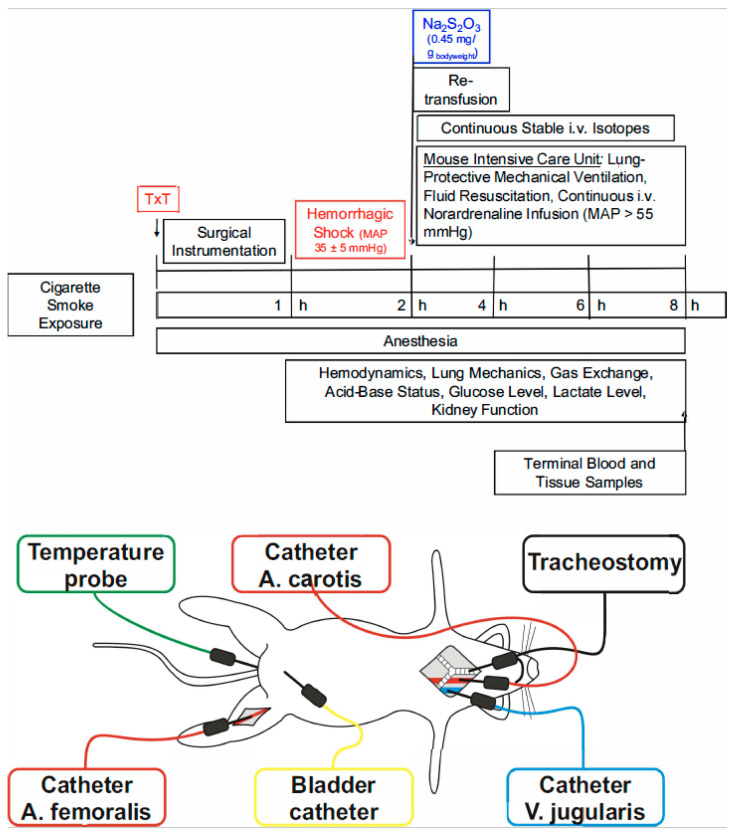 Metabolic Effects of Sodium Thiosulfate During Resuscitation from Trauma and Hemorrhage in Cigarette-Smoke-Exposed Cystathionine-γ-Lyase Knockout Mice.