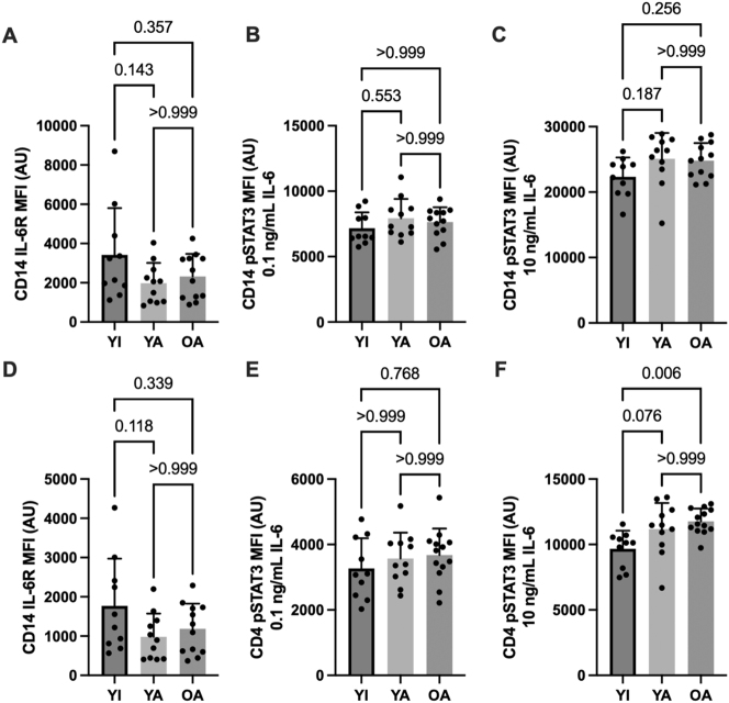 Cross-sectional analysis of blood leukocyte responsiveness to interleukin-10 and interleukin-6 across age and physical activity level.