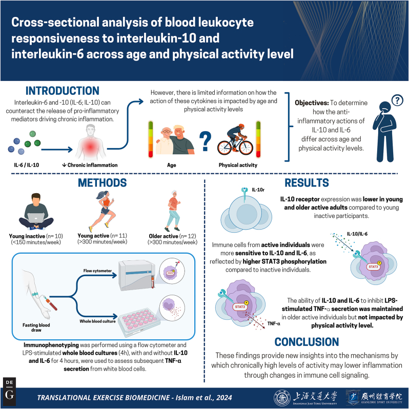 Cross-sectional analysis of blood leukocyte responsiveness to interleukin-10 and interleukin-6 across age and physical activity level.